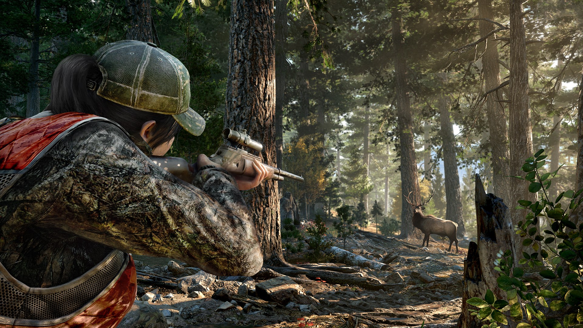 Far Cry® 5 cover art